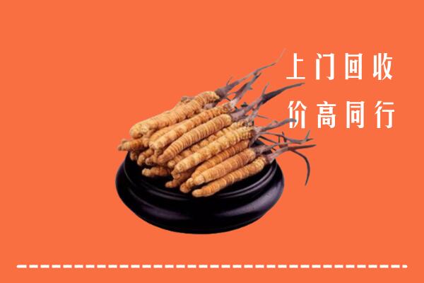 梅州回收冬虫夏草