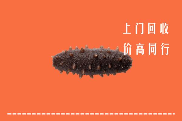 梅州高价回收海参
